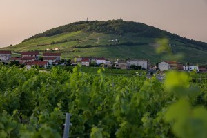 6-lappellation-cote-de-brouilly