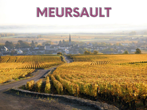 MEURSAULT